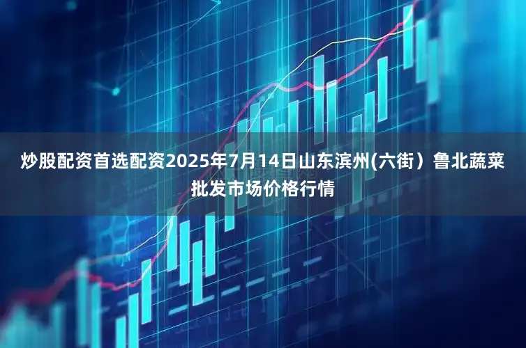 炒股配资首选配资2025年7月14日山东滨州(六街)鲁北蔬菜批发市场价格行情